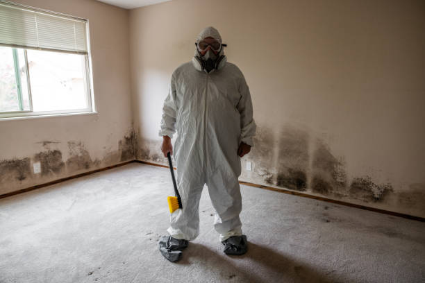 Best Mold Prevention Services  in Mooreland, OK